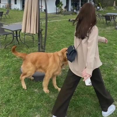 李诺的梦想